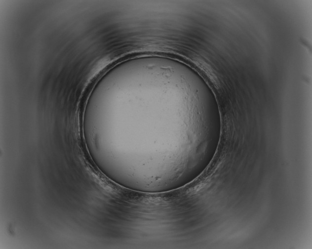 X0000095680982200801221222