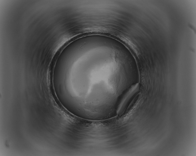 X0000095680983200801221222