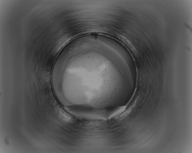 X0000095680985200801221222