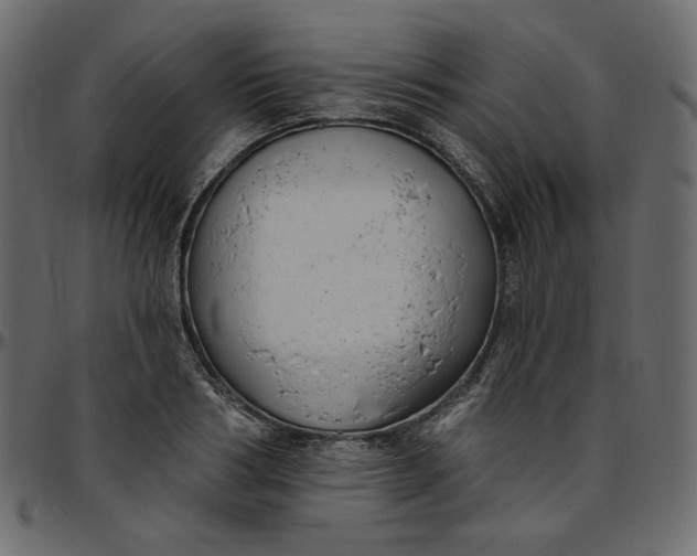 X0000095680986200801221222