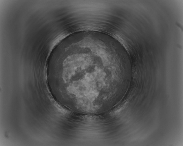 X0000095680987200801221222