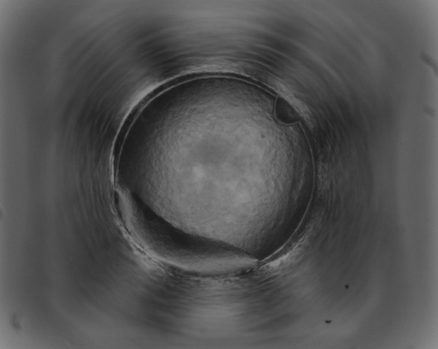 X0000095680988200801221222