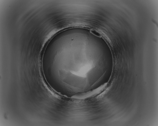 X0000095680989200801221222