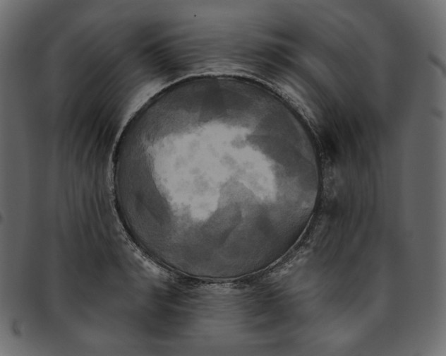 X0000095680990200801221222