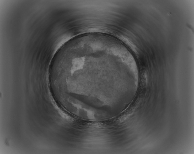 X0000095680991200801221222