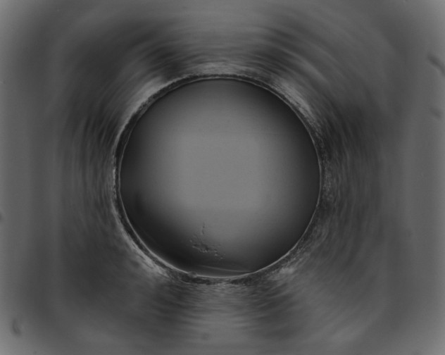 X0000095680992200801221222