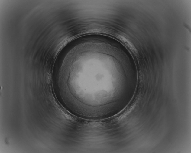 X0000095680993200801221222