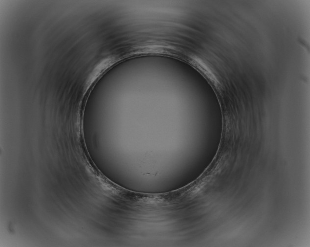 X0000095680994200801221222
