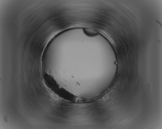 X0000095680996200801221222