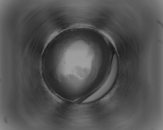 X0000095680997200801221222