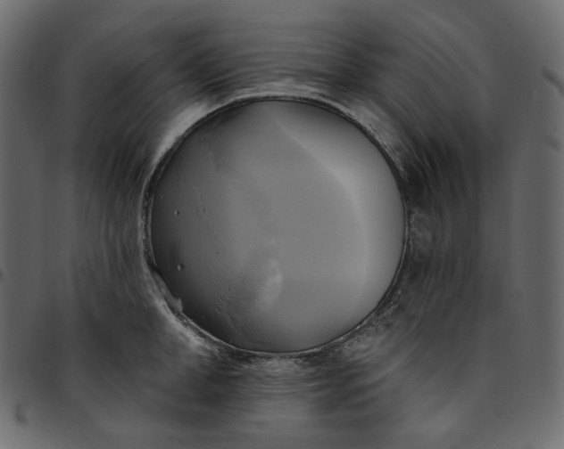 X0000095680998200801221222
