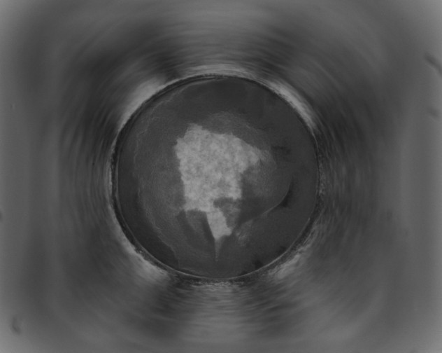 X0000095680999200801221222