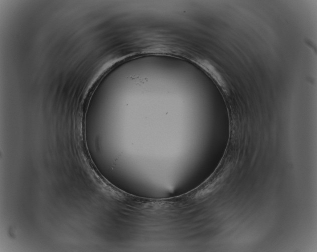 X0000095681000200801221222