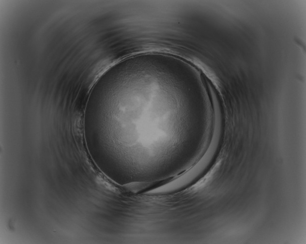 X0000095681001200801221222