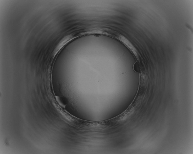 X0000095681002200801221222