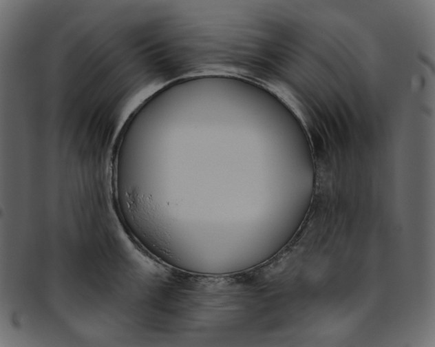 X0000095681003200801221222