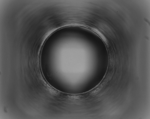 X0000095681004200801221222