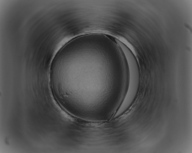X0000095681005200801221222