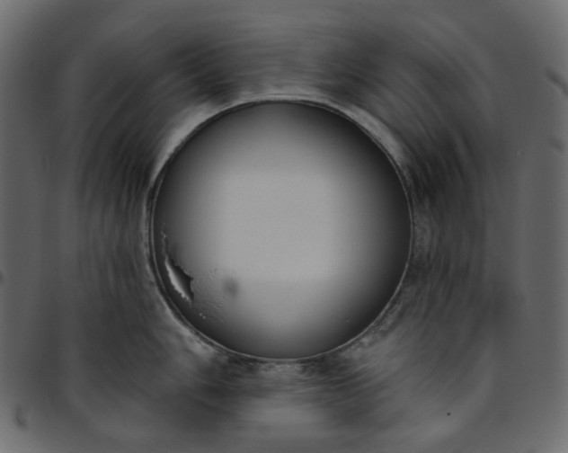 X0000095681006200801221222