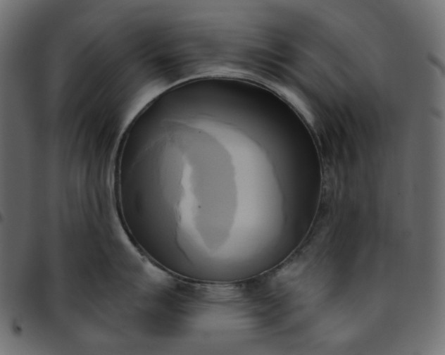 X0000095681007200801221222