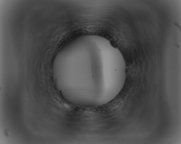 X0000095681009200801221221