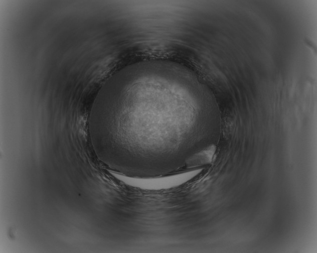X0000095681010200801221221