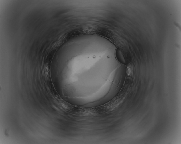 X0000095681011200801221221