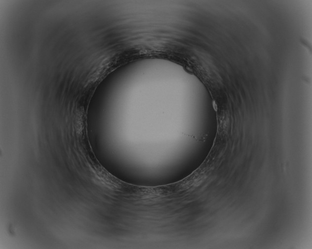 X0000095681012200801221221