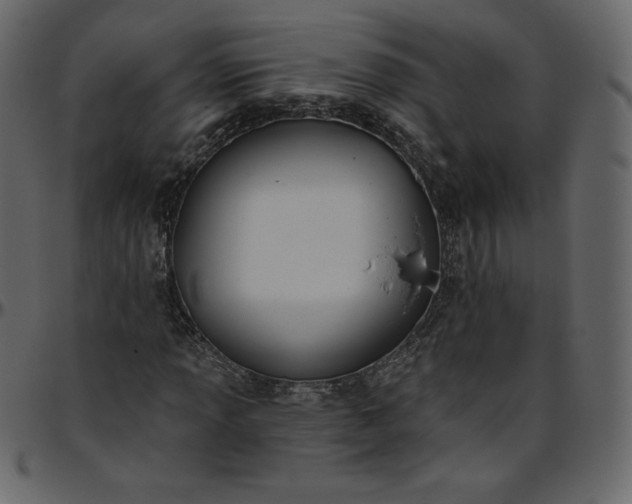 X0000095681013200801221221