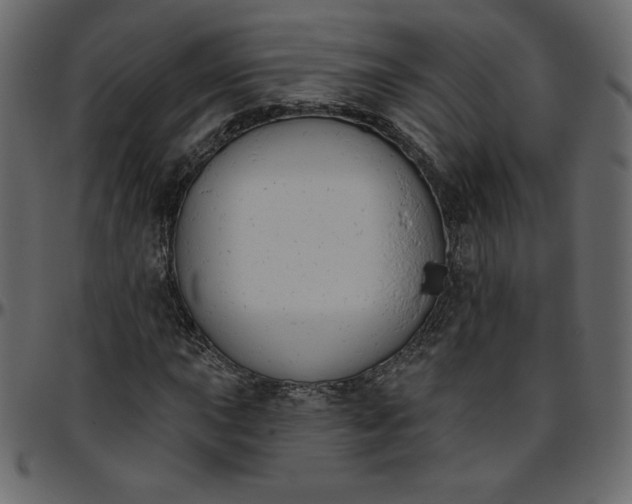 X0000095681015200801221221