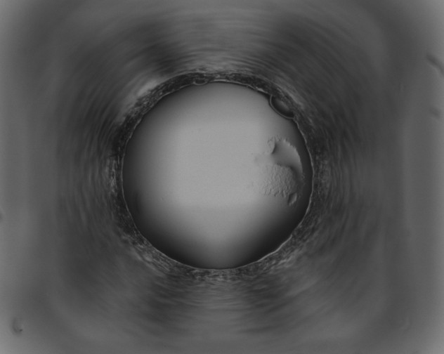 X0000095681016200801221221
