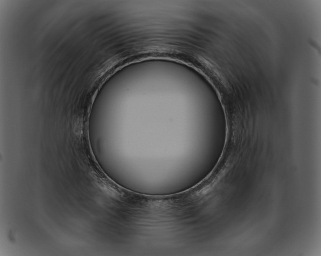 X0000095681017200801221221
