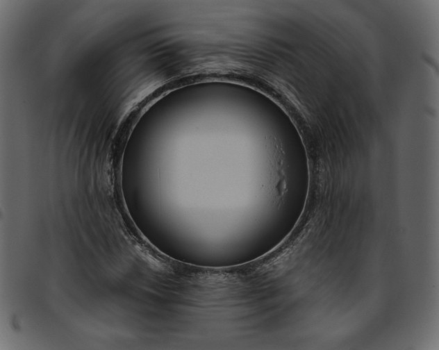 X0000095681018200801221221