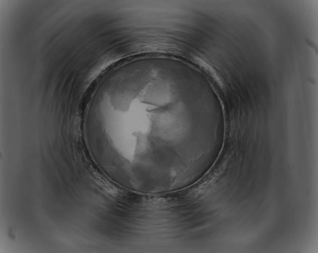 X0000095681019200801221221