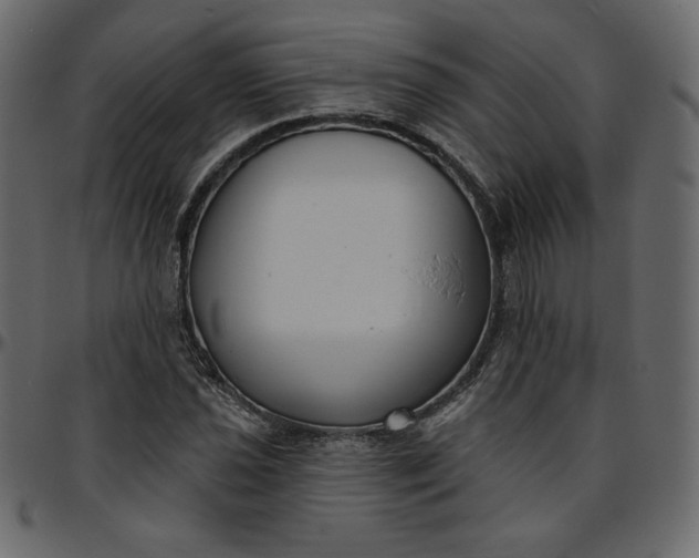 X0000095681021200801221221