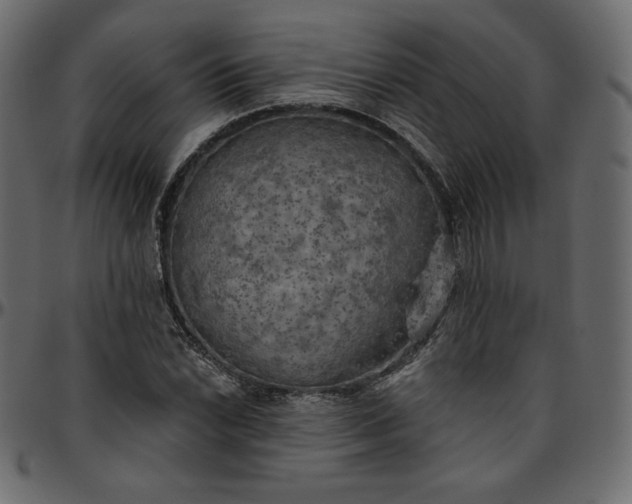 X0000095681022200801221221