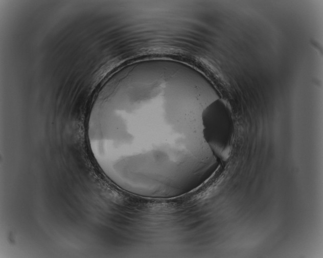 X0000095681025200801221221