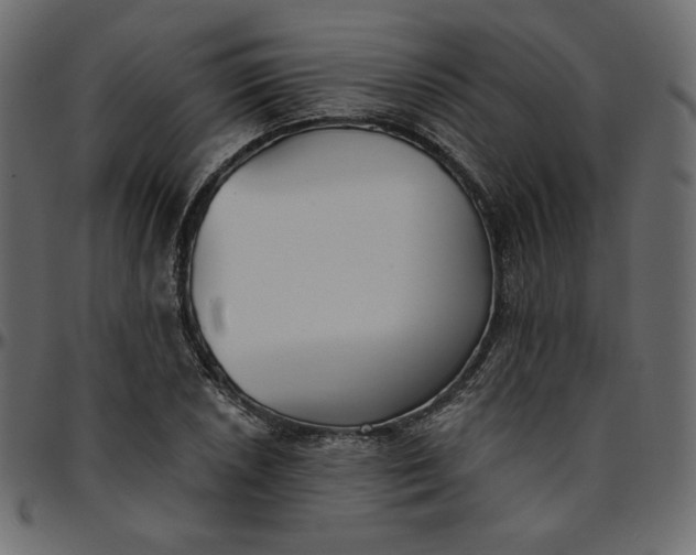 X0000095681026200801221221