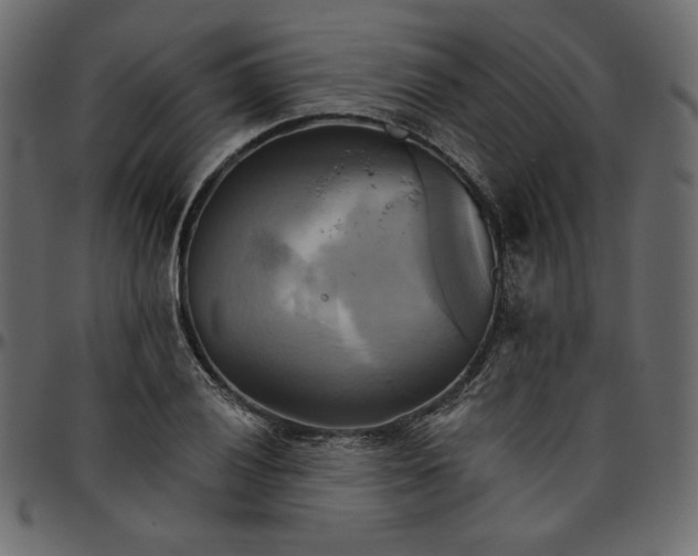 X0000095681028200801221221
