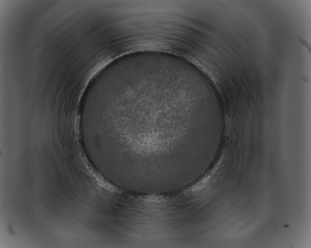 X0000095681029200801221221