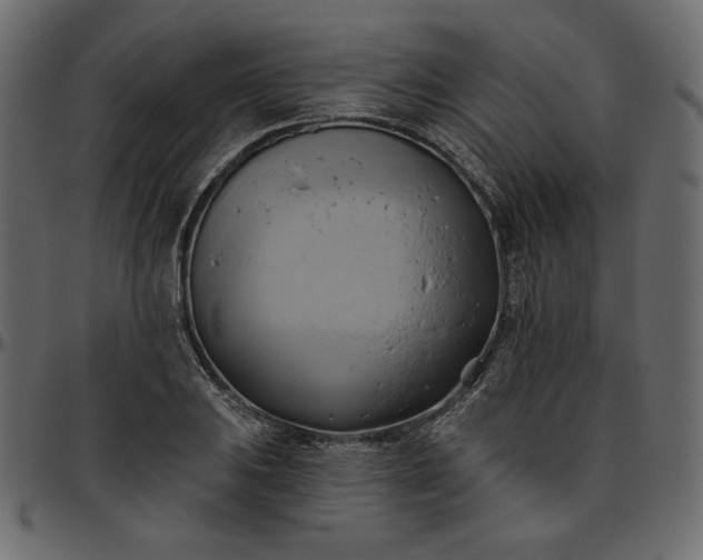 X0000095681031200801221221