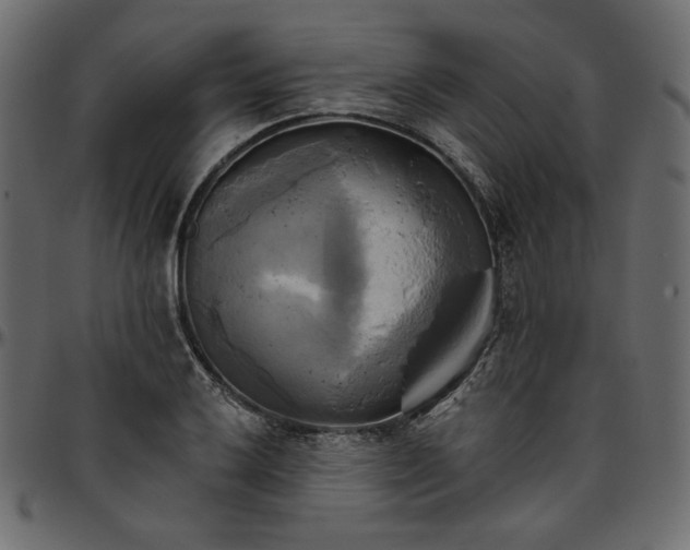 X0000095681032200801221221