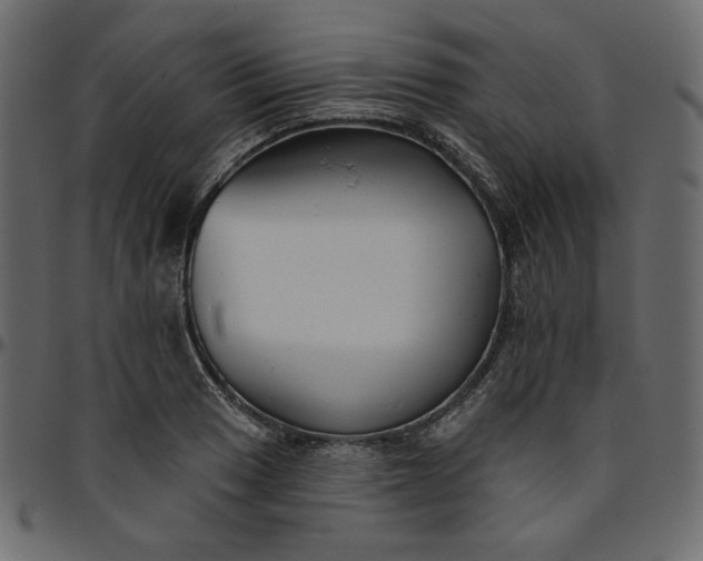 X0000095681033200801221221