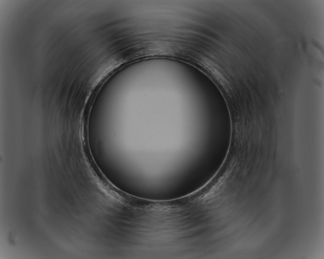 X0000095681034200801221221