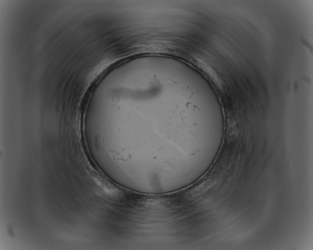 X0000095681035200801221221