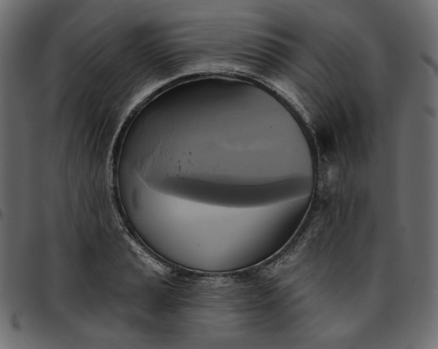 X0000095681037200801221221