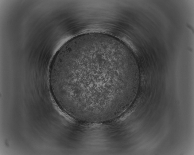 X0000095681038200801221221