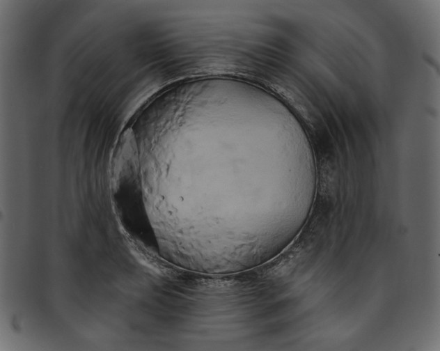 X0000095681039200801221221
