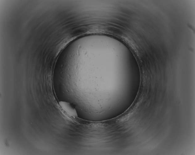 X0000095681041200801221221