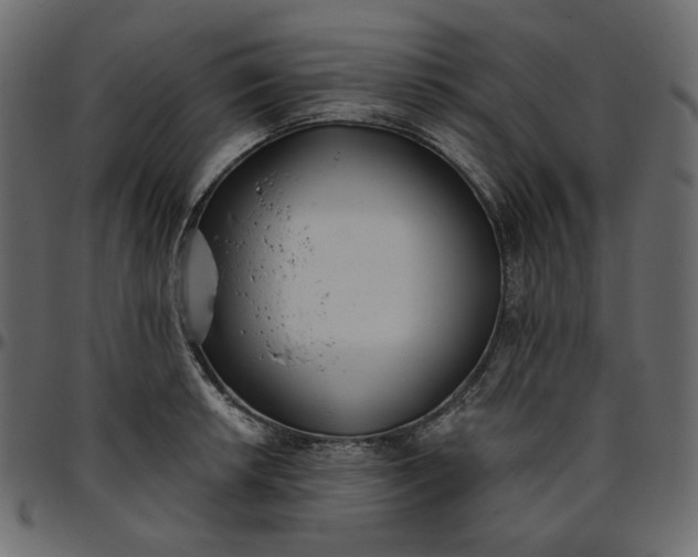X0000095681042200801221221